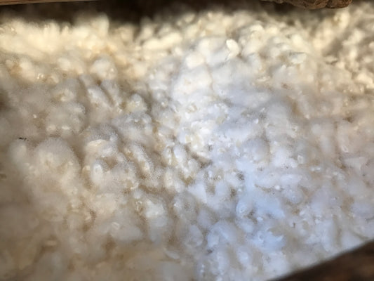 【予約再開】自然栽培米の生糀（500g）